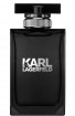 Karl Lagerfeld for Men Eau de Toilette 100 ml